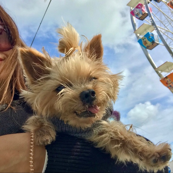 Always & Forever 💕🤍💚 - Picture 1 of 2